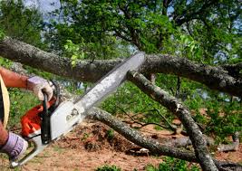 Best Utility Line Clearance  in Lemon Hill, CA